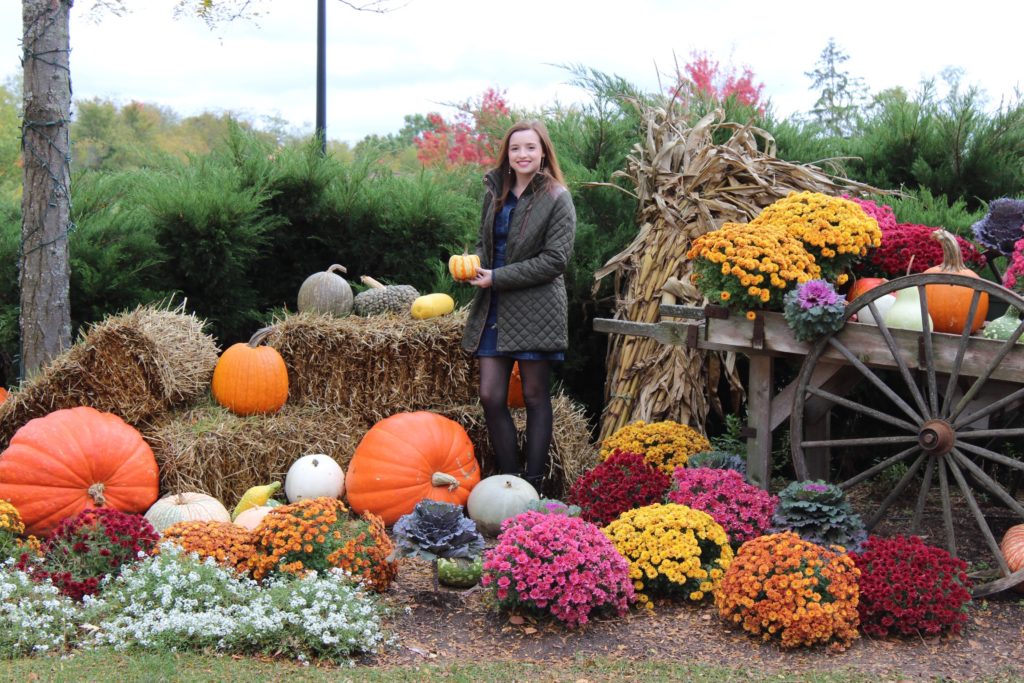 Gervasi pumpkin patch