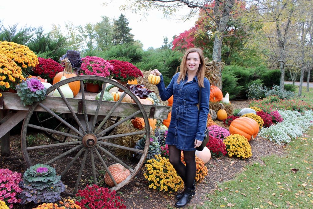 Gervasi pumpkin patch