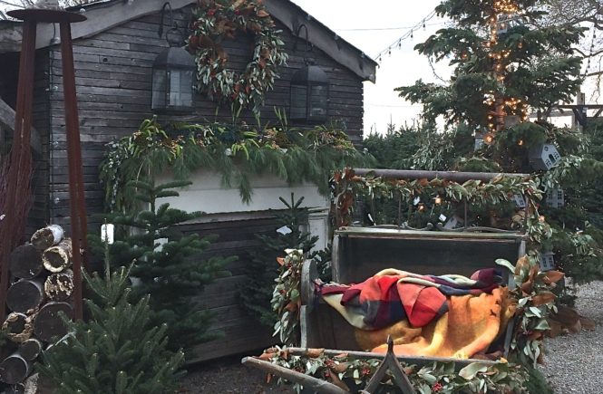 terrain garden holiday sleigh