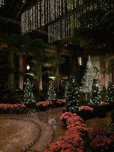 Longwood Christmas Garden