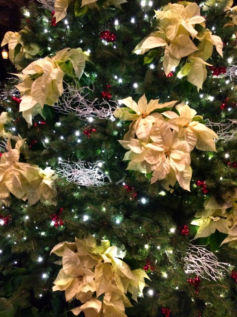 Longwood Christmas Tree