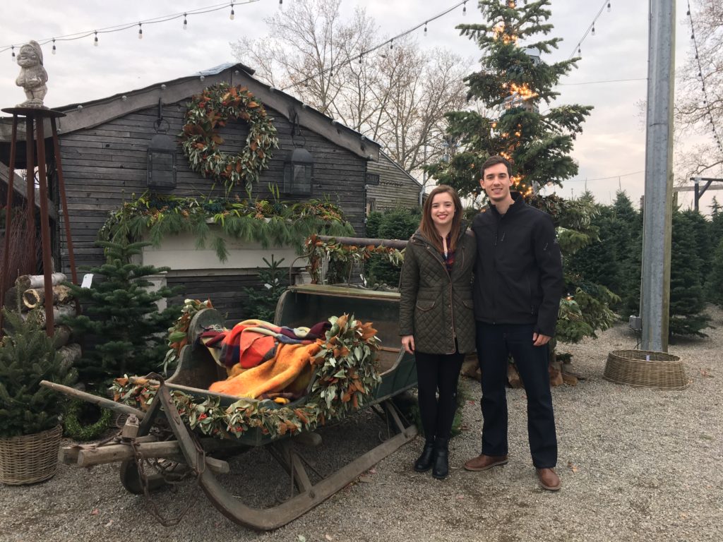 Terrain Garden Christmas Sleigh Display