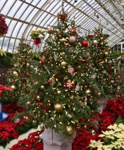 Phipps Christmas Display