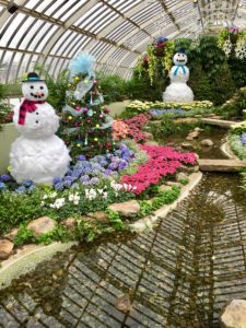 Phipps Christmas Display