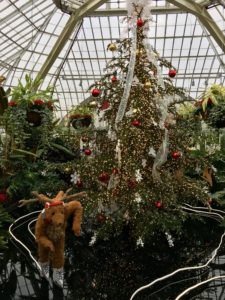 Phipps Christmas Display