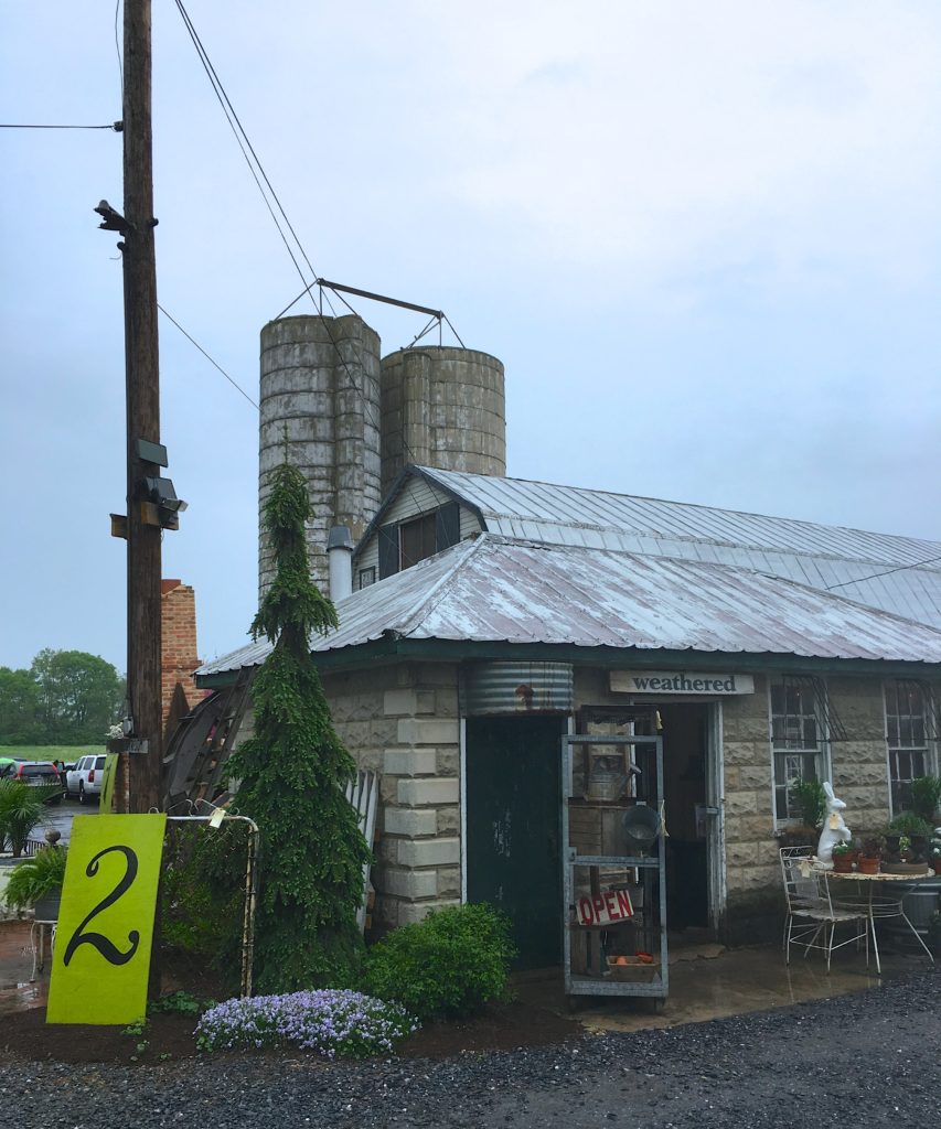 Chartreuse & co. barn