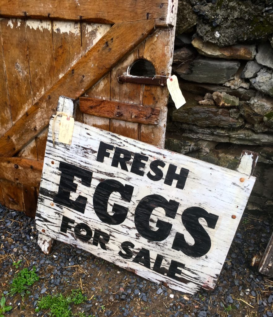 Farmhouse sign fresh eggs