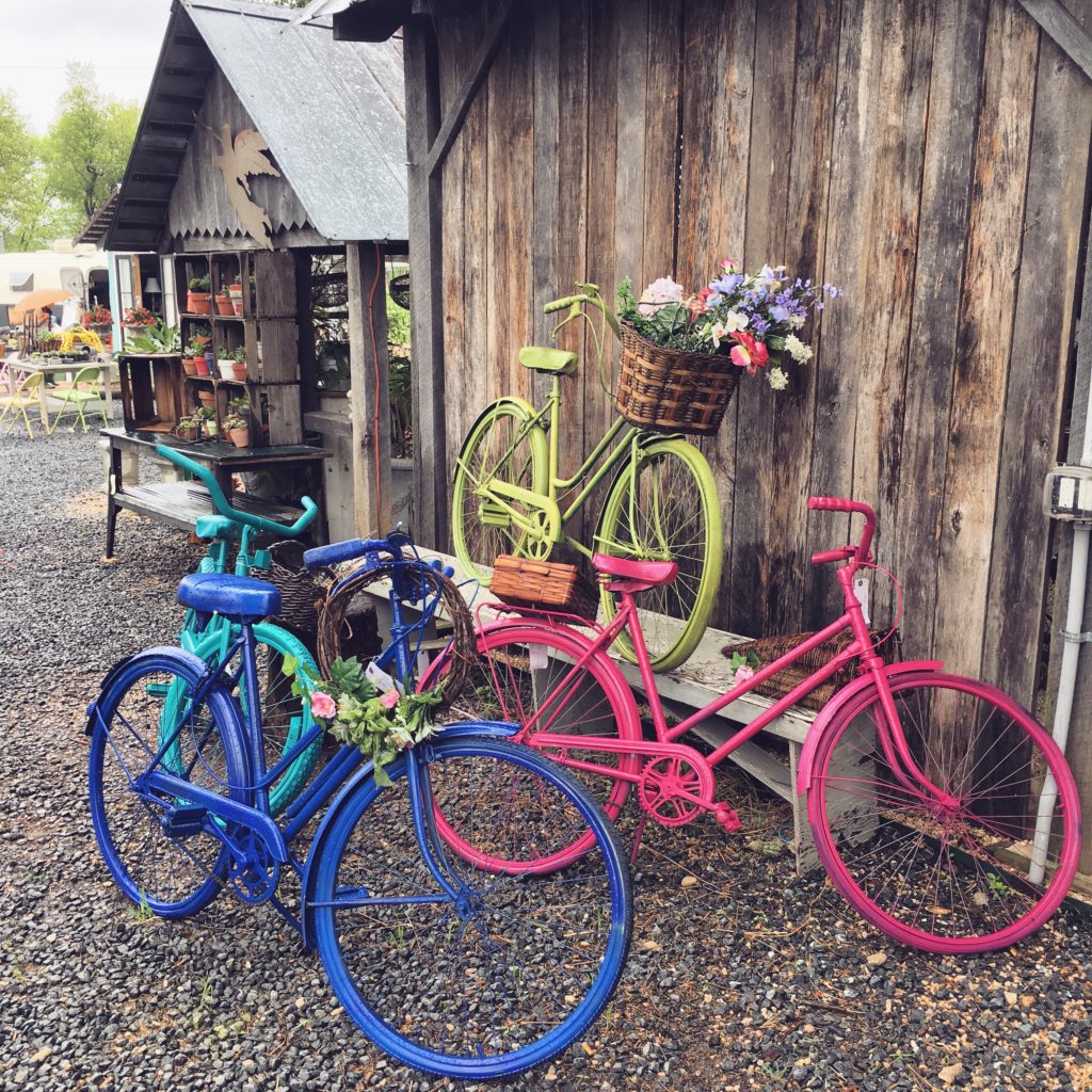 brightly colored bikes